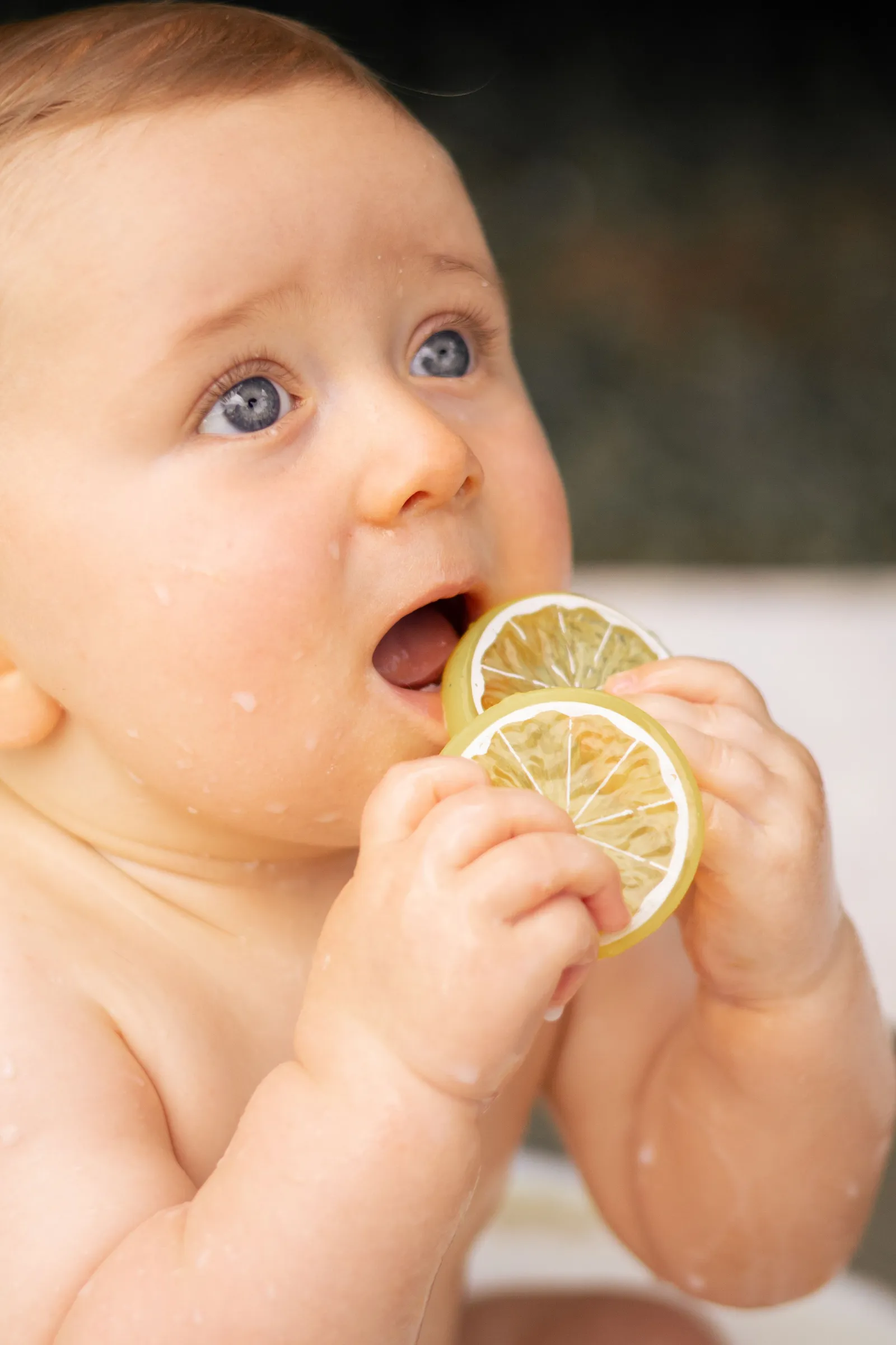 Portrait artistique de nouveau-né qui mange du citron, séance photo naissance en studio par Cindy Poulet Photographe